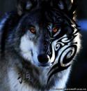 43273_Wolf_volk.