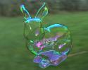 43339_bubble-rabbit-327.