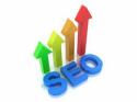 43446_SEO_Hosting.