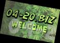 43459_V12Cfn6pof.