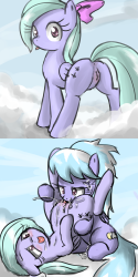 43568_833905_-_Flitter_Friendship_is_magic_My_Little_Pony_cloudchaser_sirachanotsauce.