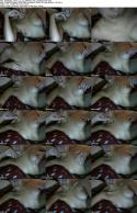 43593_miastyles_2013_11_27_060615_mfc_myfreecams_s.