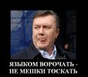 43723_yan.