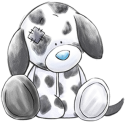 4373SplodgeDog.