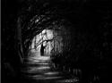 43827_darkness1.
