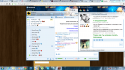 4392_Snimok_eueu.