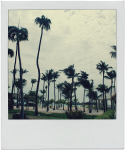 43938_tumblr_m9uxasKGm31ru8wppo1_500.