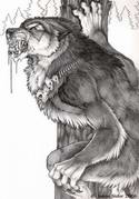 4406Night_Wolf_by_Emryswolf.