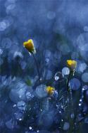 44121242764063_foto_28.