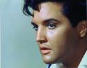 44175_Elvis2182.