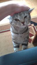 44212_IMAG0939.