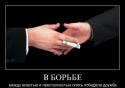44221274432785_demotivators_08.