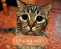 44243_5cbmFjmFLOk.