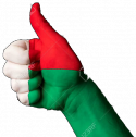 44289_13207903-Hand-with-thumb-up-gesture-in-colored-madagascar-national-flag-as-symbol-of-excellence-achievement-g-Stock-Photo.