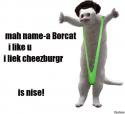 44368_borcat.