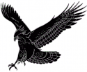 4448Eagle.