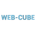 44723_Web-Cube_origami.