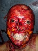 44779_gore03.