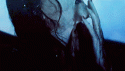 44_tumblr_m0n8w3yLCI1qbl483o6_250.