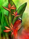 45180_04_BirdsOfParadise_Pic-375x500.