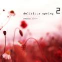 45212_1362507943_va-delicious-spring-vol_-2-chillout-moments-2013.