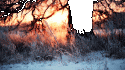 4535_Favim_com-543270.