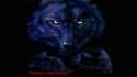4546Wolf.