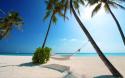 45555_thumb_maldivesmaldives_x.