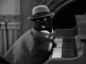 45562_CAT_PLAYING_PIANO_GIF.