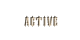 45566_active.