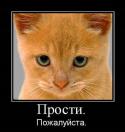 4567demotivatori_110.