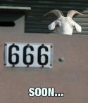 45701_the-evil-goat.