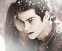 45709_tumblr_n32yu1imvw1s6xg9wo3_250.