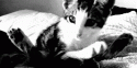 45724_7946539_0_0_b5c74fa0725a_tlog.