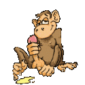 46067_MONKEY.