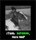 46397_nesi_mir.