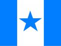 4642flag3.