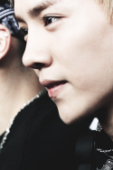 46433_tumblr_mnklkl9QU01s36084o1_500.