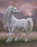 46642_unicorn001.