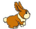 4673_bunnyhop2.