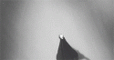 46779_tumblr_myavd0SpRD1tnpmuvo3_250.