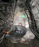 46879_11514435elippyfastnalteo10559676.