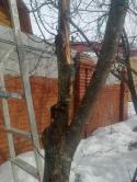 4732Foto1354.