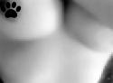4744YA_in.