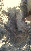 47607_IMG_20140530_195744.