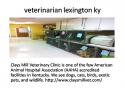 47627_Veterinarian_Lexington_ky.