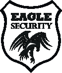 47639_Eagle.