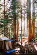 47715_camping-earth-forest-getaway-holiday-Favim_com-443596.