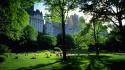 4774central-park-view-1920-1080-5279.