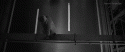 47955_tumblr_m63uw1rK8I1r9xjxoo1_500.